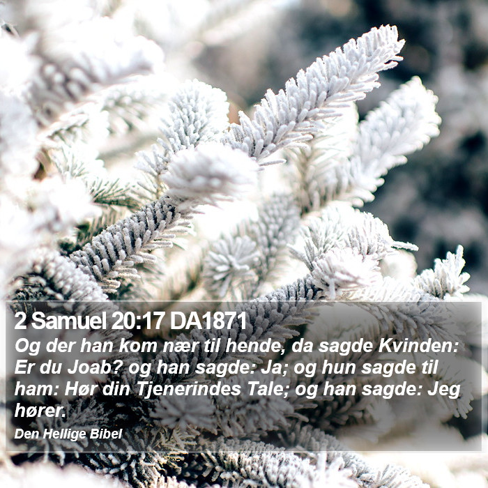 2 Samuel 20:17 DA1871 Bible Study