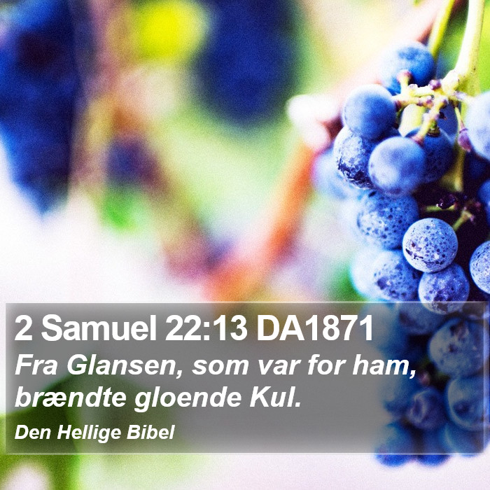 2 Samuel 22:13 DA1871 Bible Study