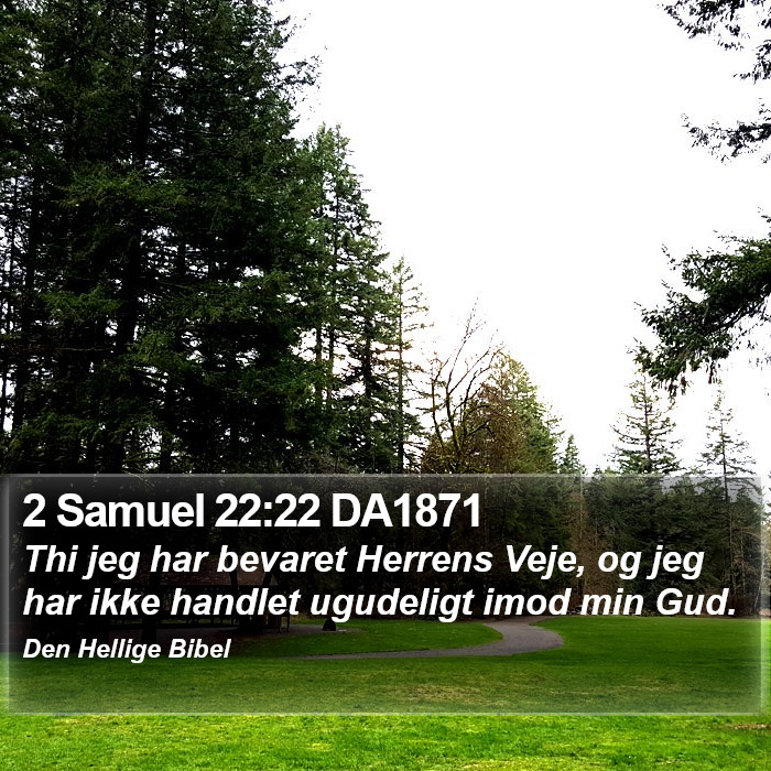 2 Samuel 22:22 DA1871 Bible Study