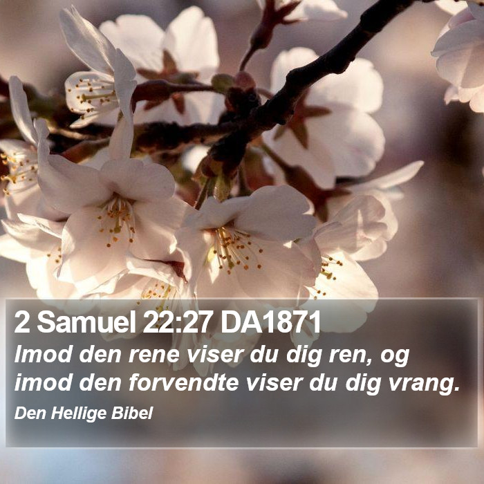 2 Samuel 22:27 DA1871 Bible Study