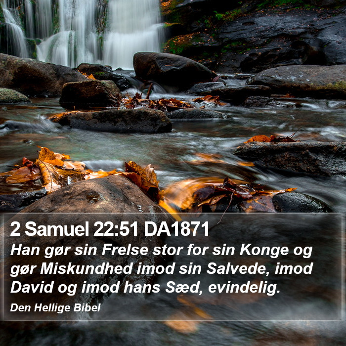 2 Samuel 22:51 DA1871 Bible Study