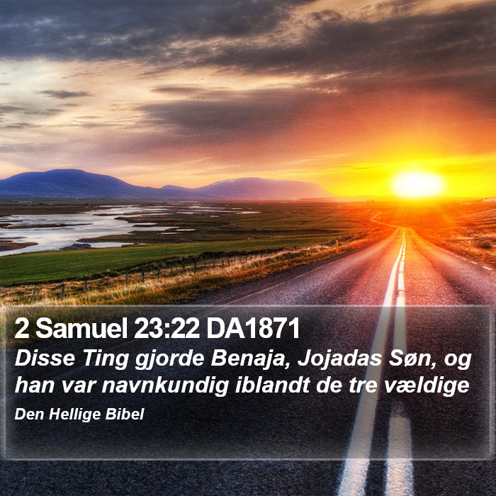 2 Samuel 23:22 DA1871 Bible Study