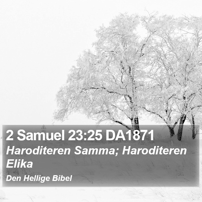 2 Samuel 23:25 DA1871 Bible Study