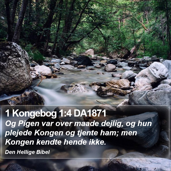 1 Kongebog 1:4 DA1871 Bible Study