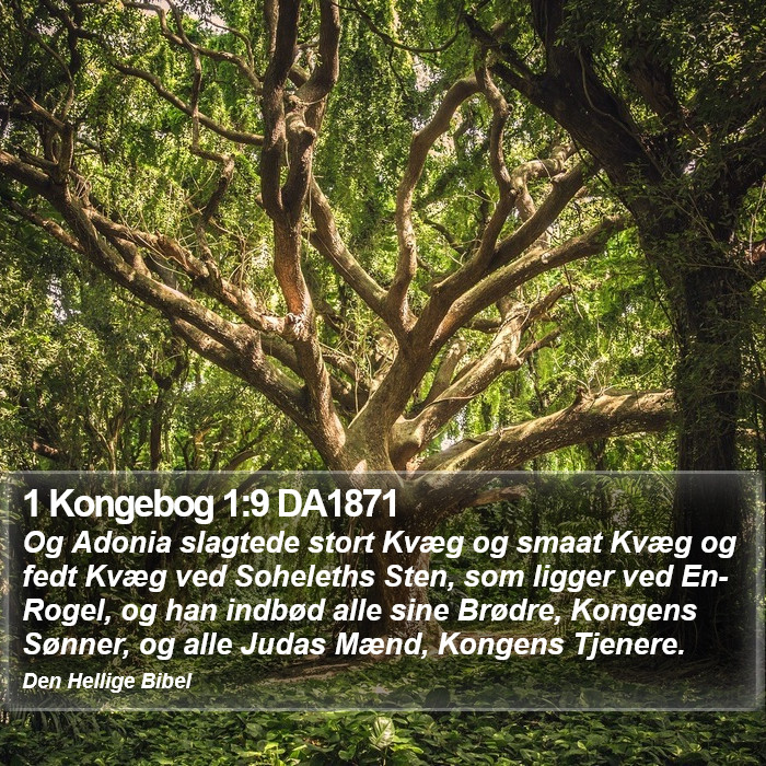 1 Kongebog 1:9 DA1871 Bible Study