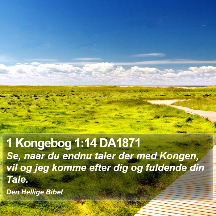 1 Kongebog 1:14 DA1871 Bible Study