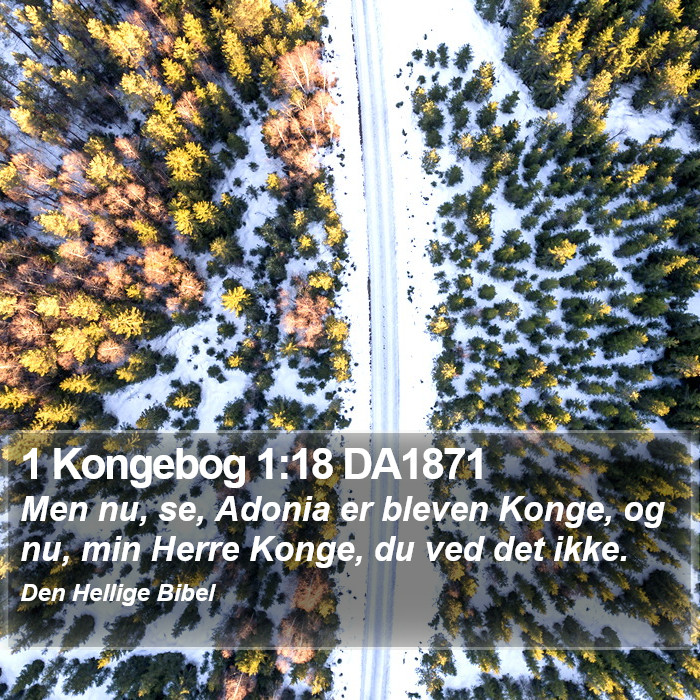 1 Kongebog 1:18 DA1871 Bible Study