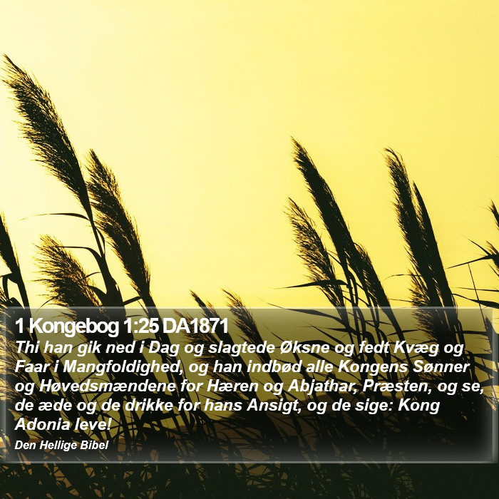 1 Kongebog 1:25 DA1871 Bible Study