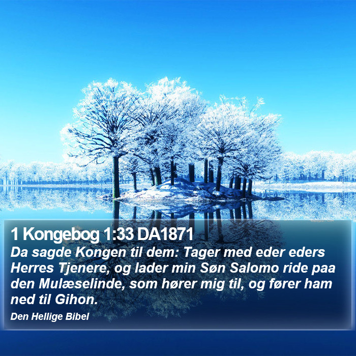 1 Kongebog 1:33 DA1871 Bible Study