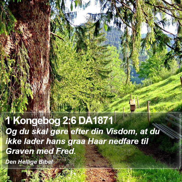 1 Kongebog 2:6 DA1871 Bible Study