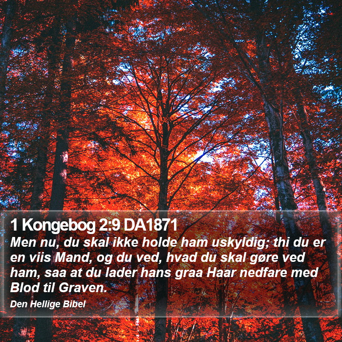 1 Kongebog 2:9 DA1871 Bible Study