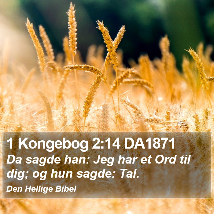 1 Kongebog 2:14 DA1871 Bible Study