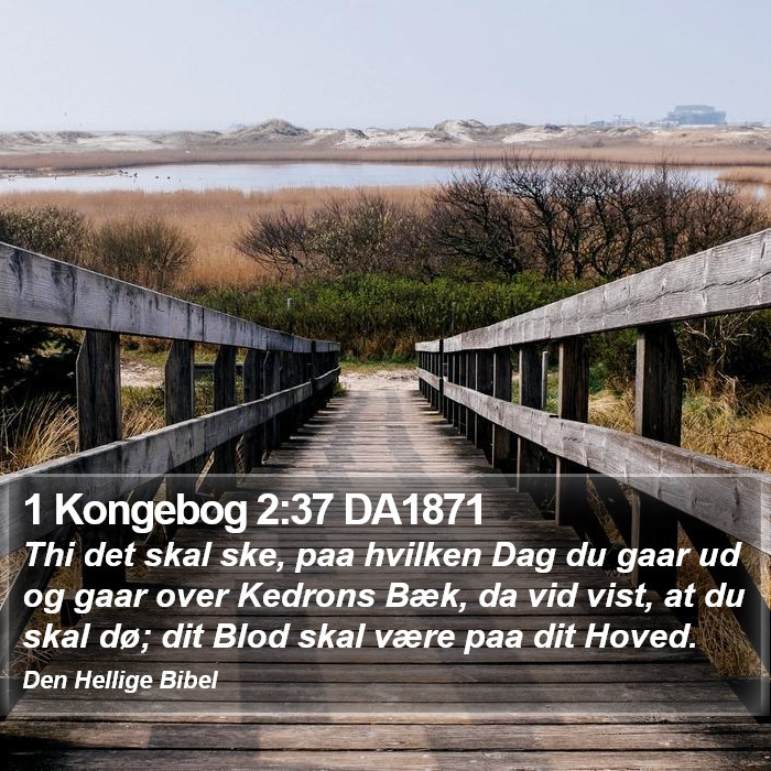 1 Kongebog 2:37 DA1871 Bible Study