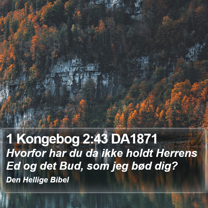 1 Kongebog 2:43 DA1871 Bible Study