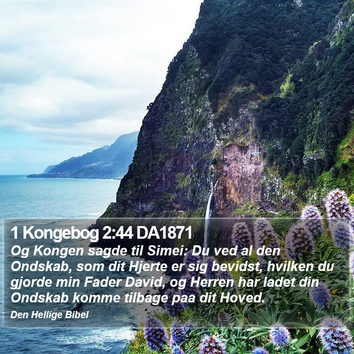 1 Kongebog 2:44 DA1871 Bible Study