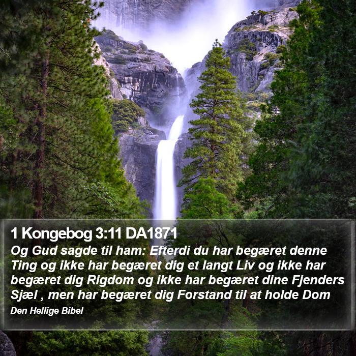 1 Kongebog 3:11 DA1871 Bible Study