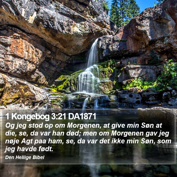 1 Kongebog 3:21 DA1871 Bible Study