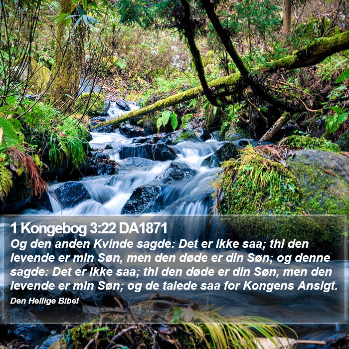 1 Kongebog 3:22 DA1871 Bible Study