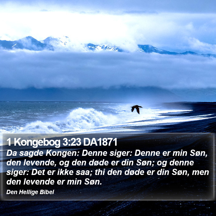 1 Kongebog 3:23 DA1871 Bible Study