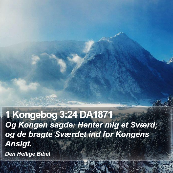 1 Kongebog 3:24 DA1871 Bible Study