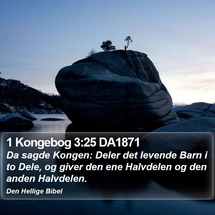 1 Kongebog 3:25 DA1871 Bible Study