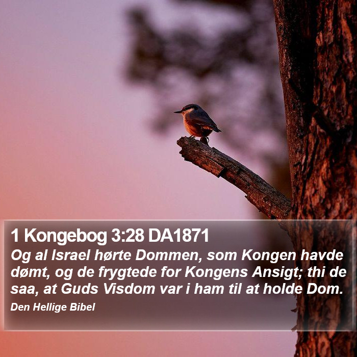 1 Kongebog 3:28 DA1871 Bible Study