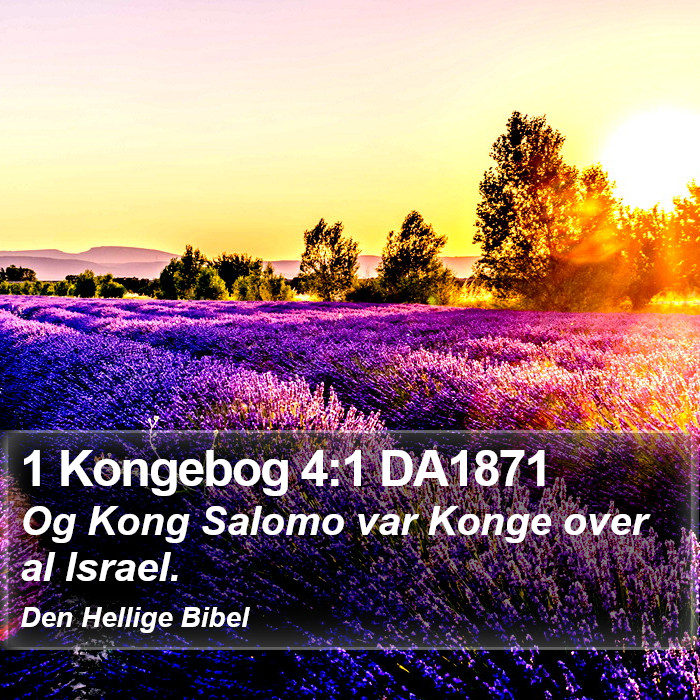 1 Kongebog 4:1 DA1871 Bible Study