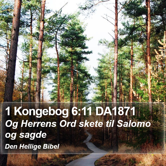 1 Kongebog 6:11 DA1871 Bible Study