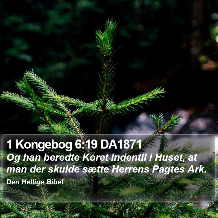 1 Kongebog 6:19 DA1871 Bible Study