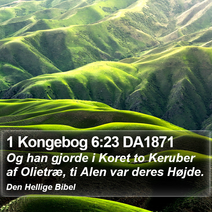 1 Kongebog 6:23 DA1871 Bible Study