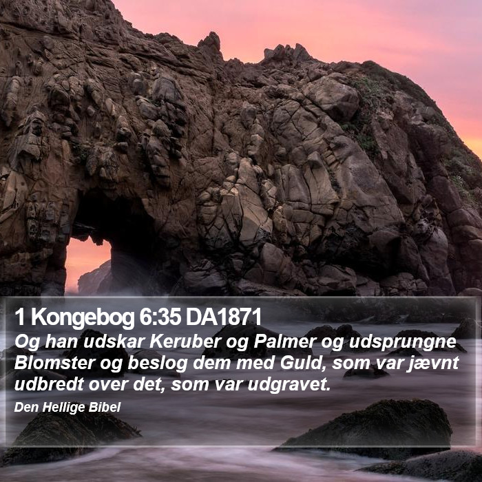 1 Kongebog 6:35 DA1871 Bible Study