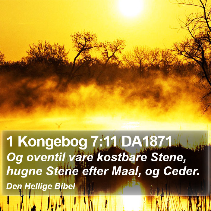 1 Kongebog 7:11 DA1871 Bible Study