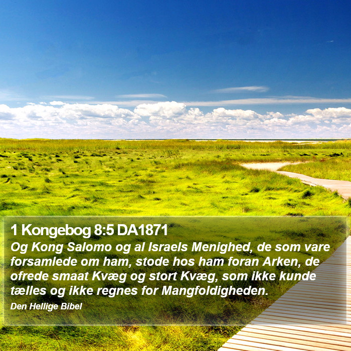 1 Kongebog 8:5 DA1871 Bible Study