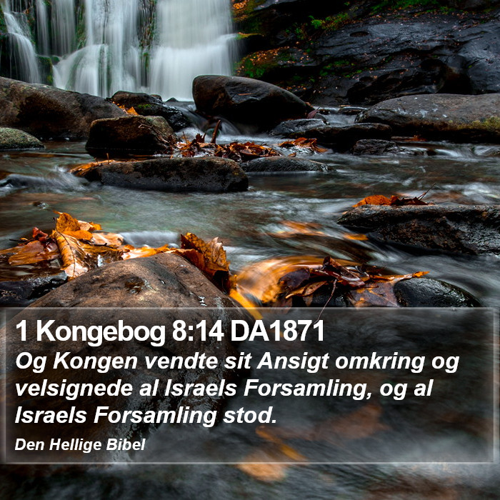 1 Kongebog 8:14 DA1871 Bible Study