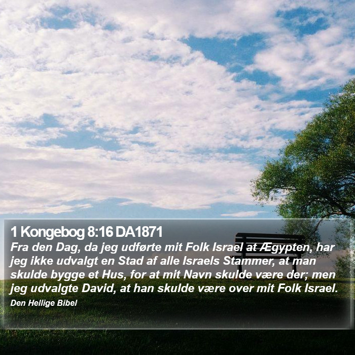 1 Kongebog 8:16 DA1871 Bible Study