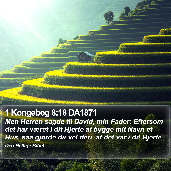 1 Kongebog 8:18 DA1871 Bible Study