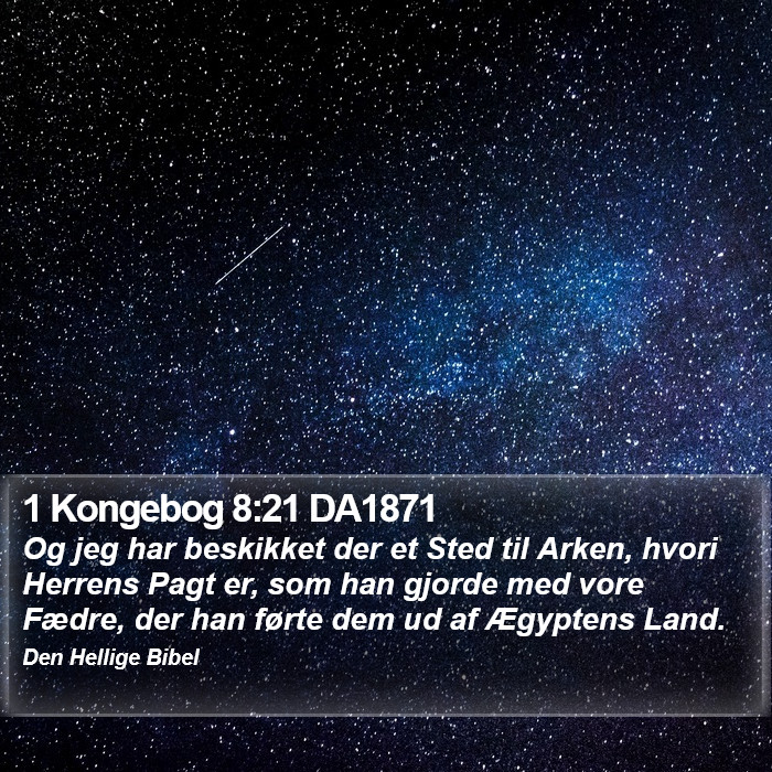 1 Kongebog 8:21 DA1871 Bible Study