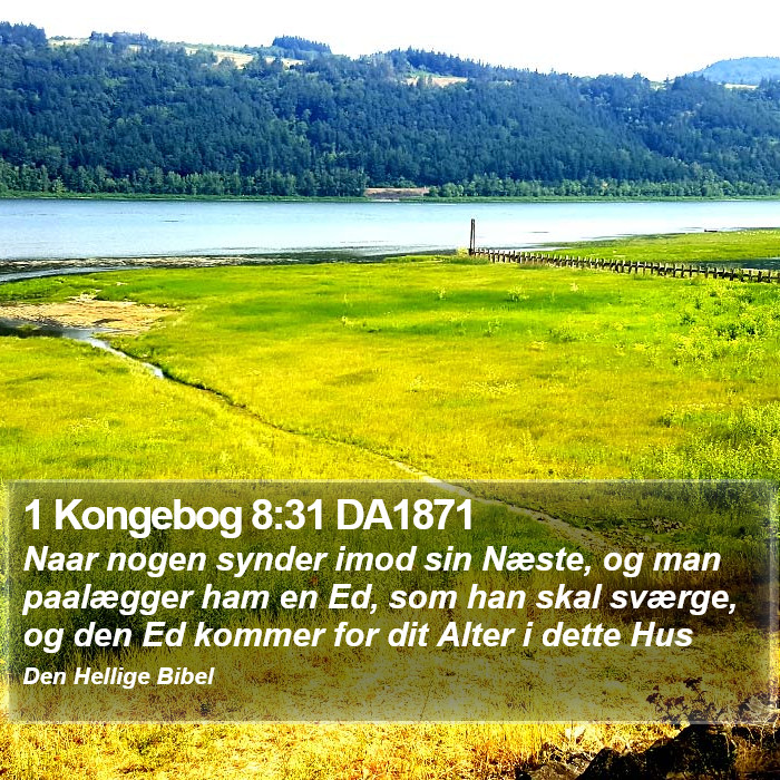 1 Kongebog 8:31 DA1871 Bible Study