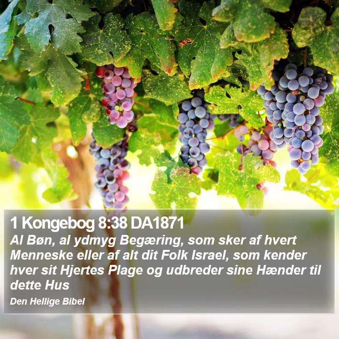 1 Kongebog 8:38 DA1871 Bible Study