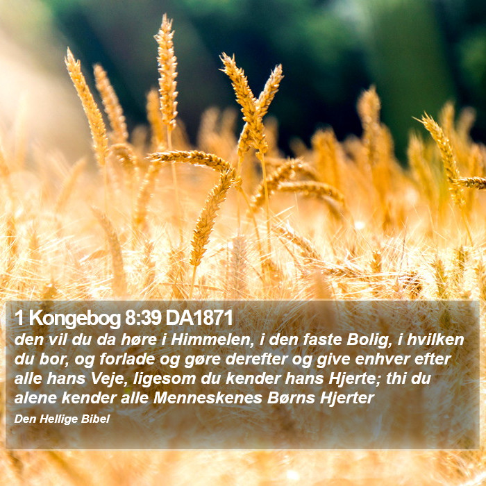 1 Kongebog 8:39 DA1871 Bible Study