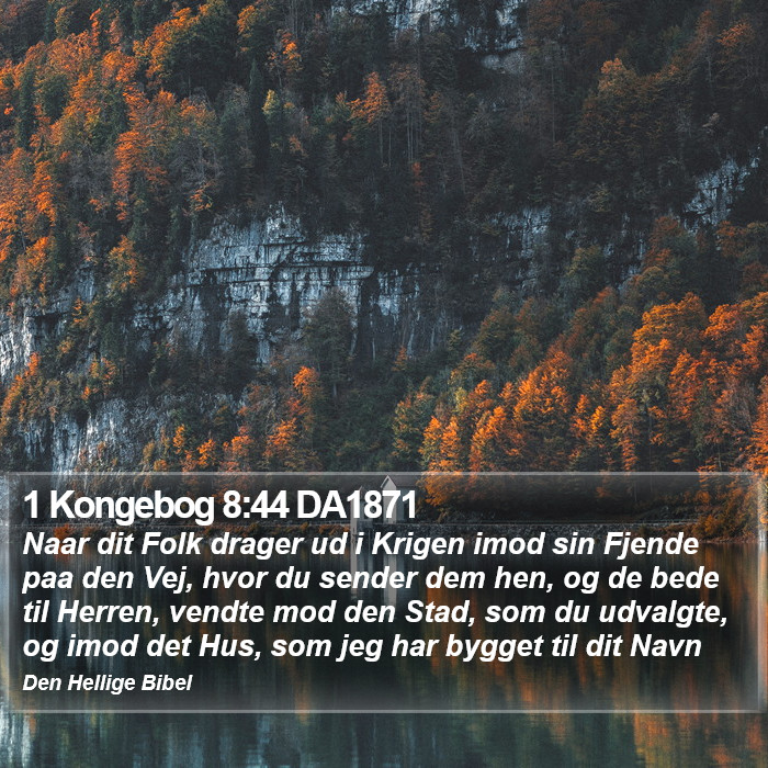 1 Kongebog 8:44 DA1871 Bible Study