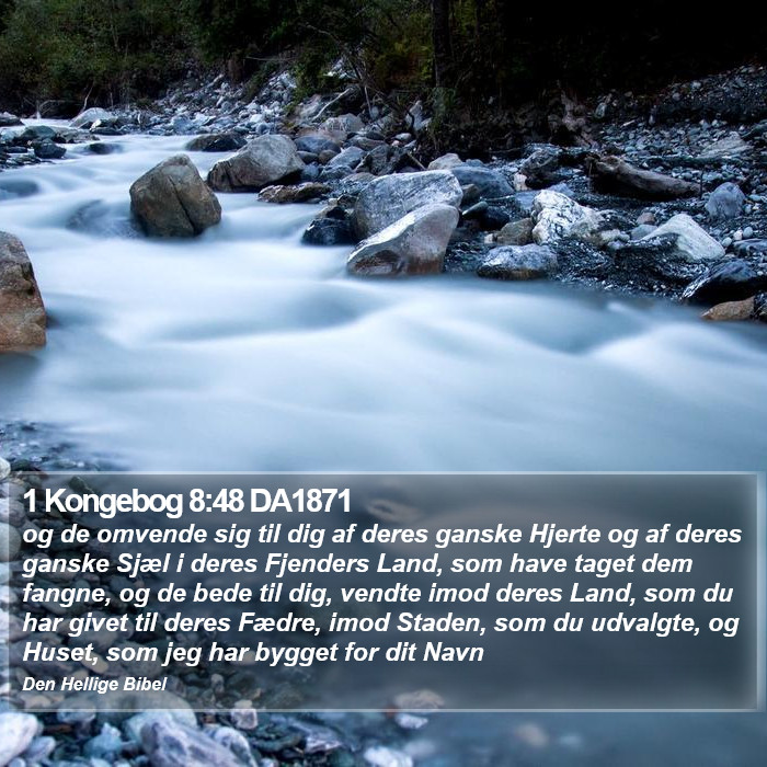 1 Kongebog 8:48 DA1871 Bible Study