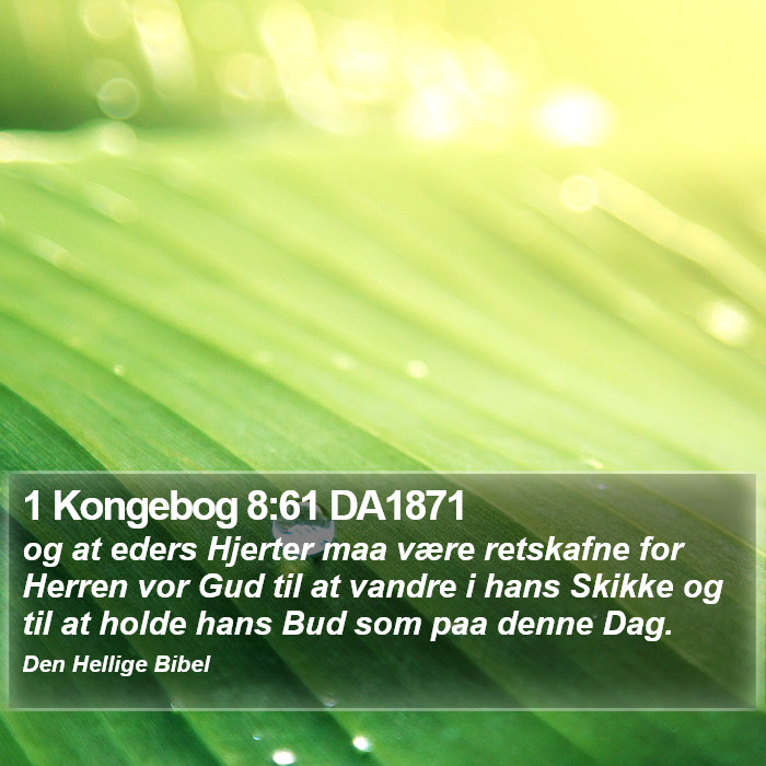 1 Kongebog 8:61 DA1871 Bible Study