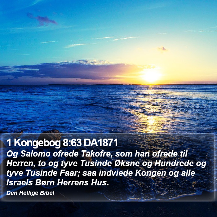 1 Kongebog 8:63 DA1871 Bible Study