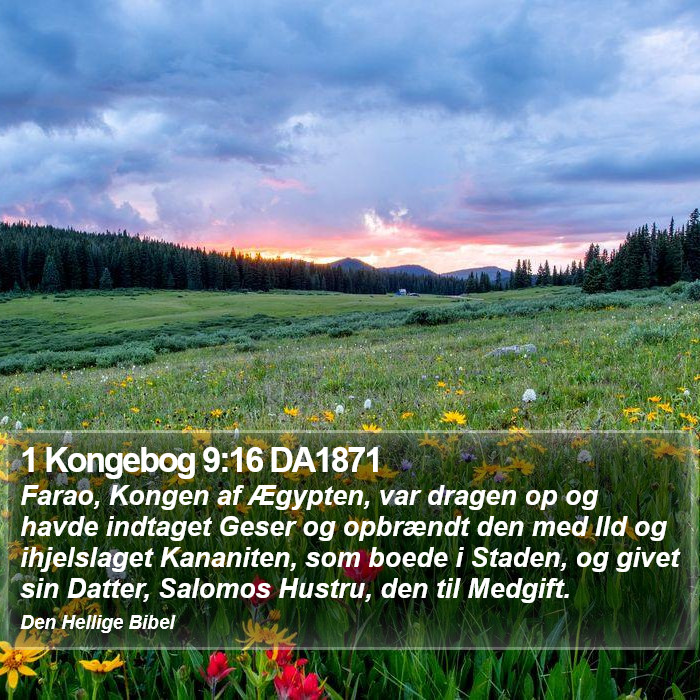 1 Kongebog 9:16 DA1871 Bible Study