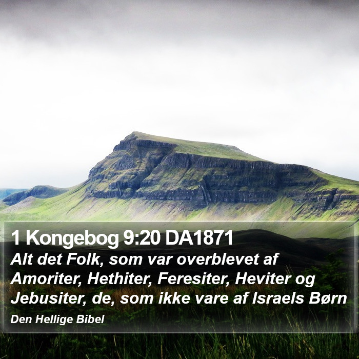 1 Kongebog 9:20 DA1871 Bible Study