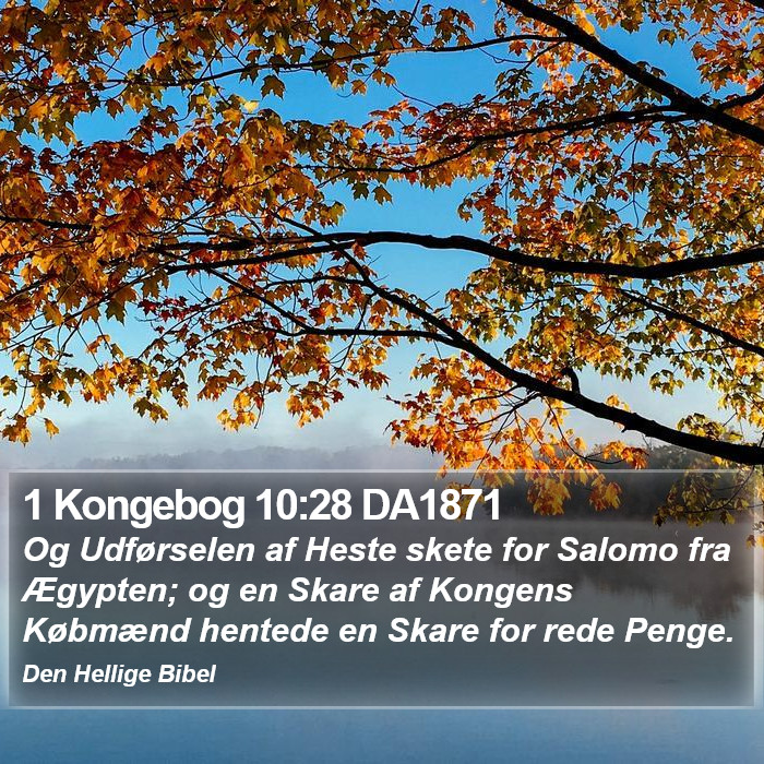 1 Kongebog 10:28 DA1871 Bible Study