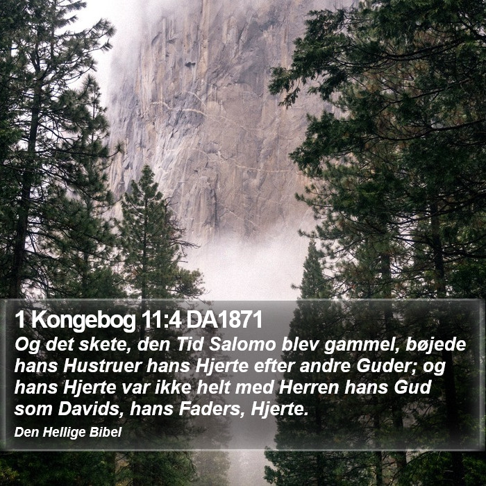 1 Kongebog 11:4 DA1871 Bible Study