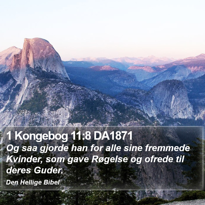 1 Kongebog 11:8 DA1871 Bible Study