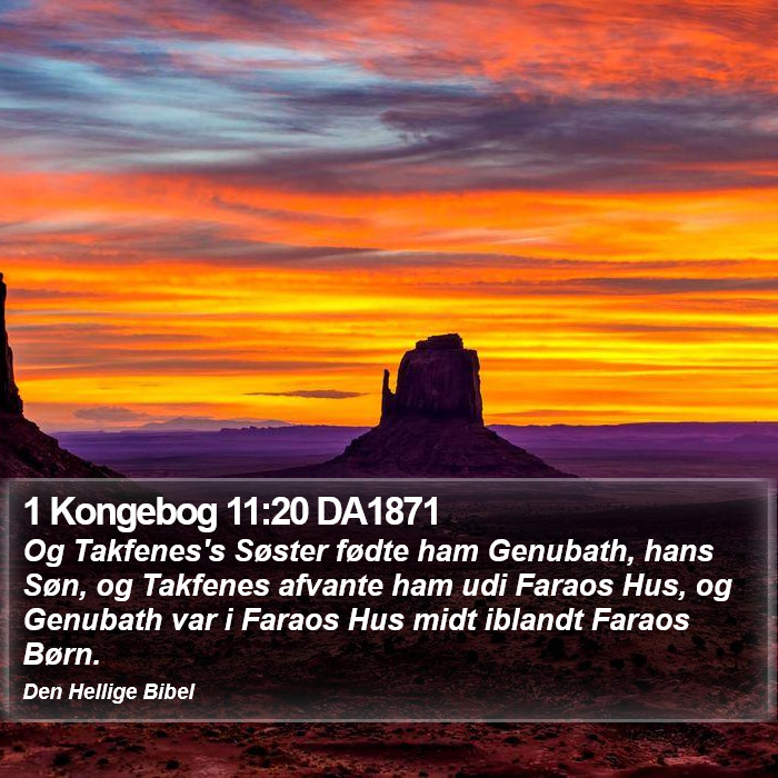 1 Kongebog 11:20 DA1871 Bible Study